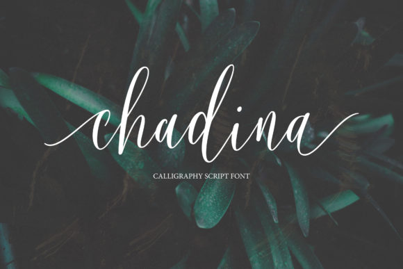 Chadina Script: A Timeless Blend of Elegance and Modern Calligraphy