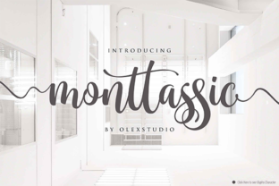 Monttassic Script: A Modern Handlettering Font for Creative Professionals